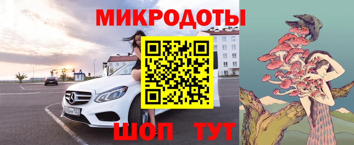 Галлюциногенные грибы ЛСД  Псилоцибиновые грибы Psilocybe  Лесной  Вход с VPN 